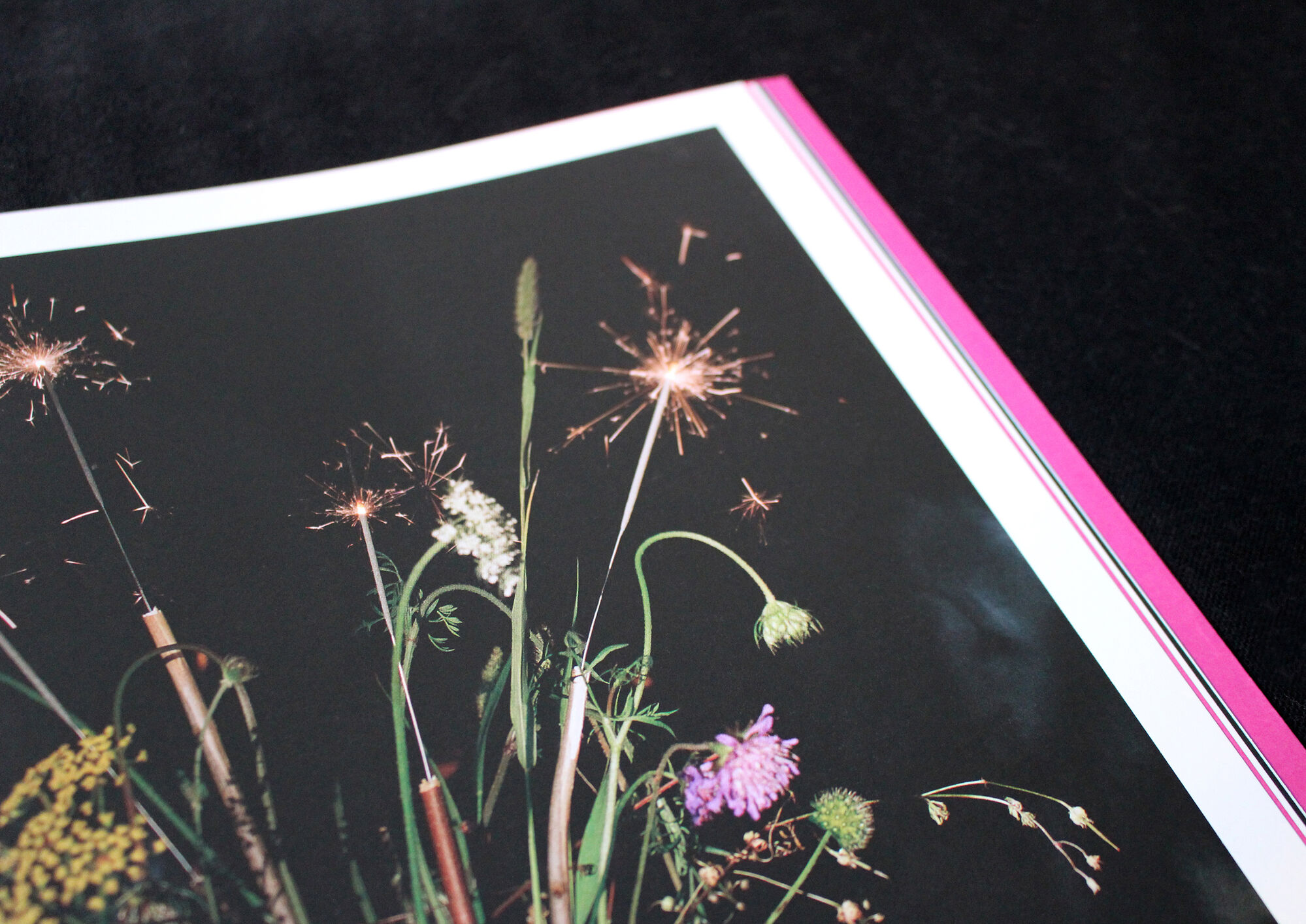 Yveline Loiseur édition